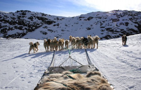 escursione con i cani da slitta al Kangia - Ilulissat Icefjord
